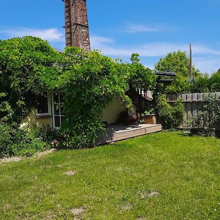 Ferienwohnung In Welzin Damshagen المظهر الخارجي الصورة