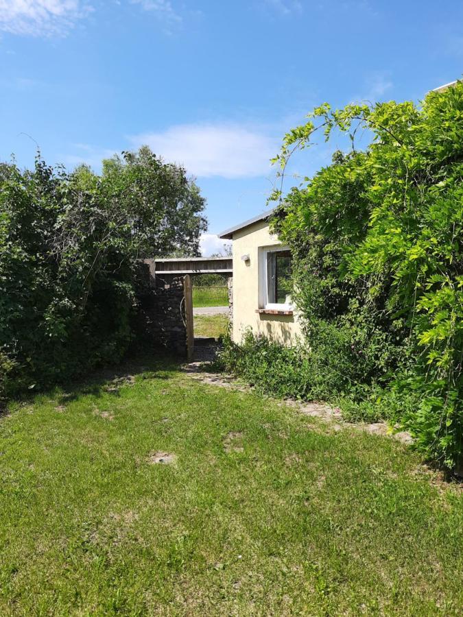 Ferienwohnung In Welzin Damshagen المظهر الخارجي الصورة